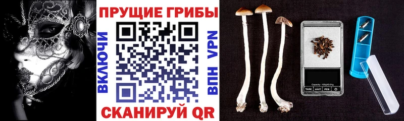 кракен маркетплейс  Сыктывкар  Галлюциногенные грибы ЛСД 